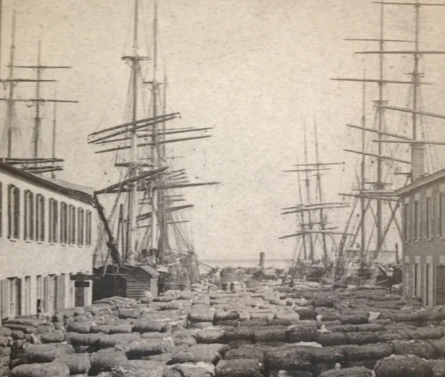 cotton-wharf-1783821484215.webp