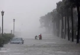irma-2017-1787862325034.webp