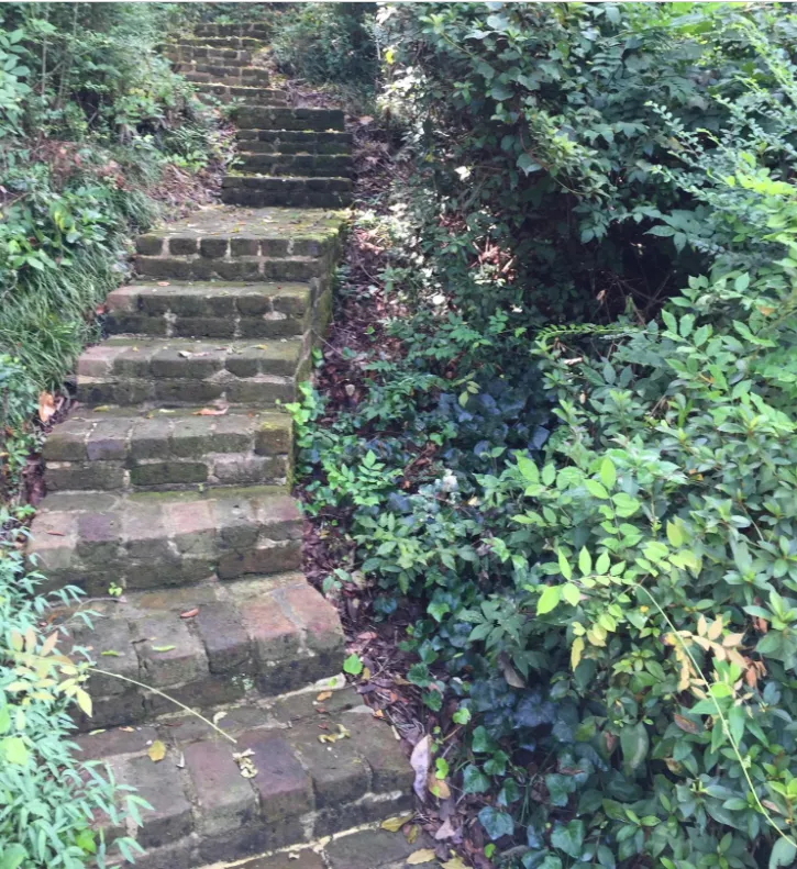 mepkin-steps-jpg.webp